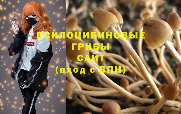 эйфоретик Алексин