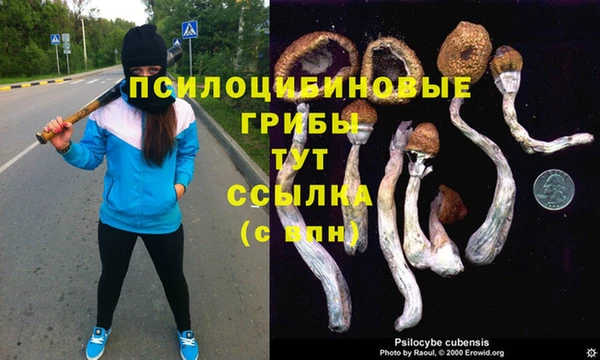 молекула духа Алексеевка